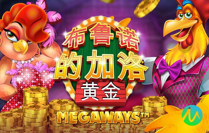 大红鹰dhy登录
